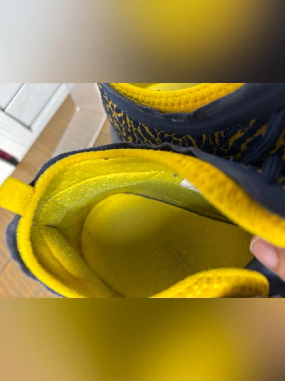 Jordan Trainer 1 Low Michigan Wolverines Mens Size 13 College Navy Yellow GUC